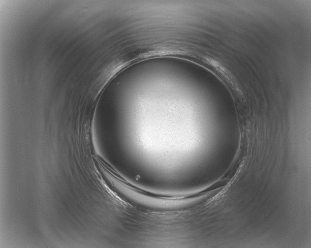 X0000052981185200507151820