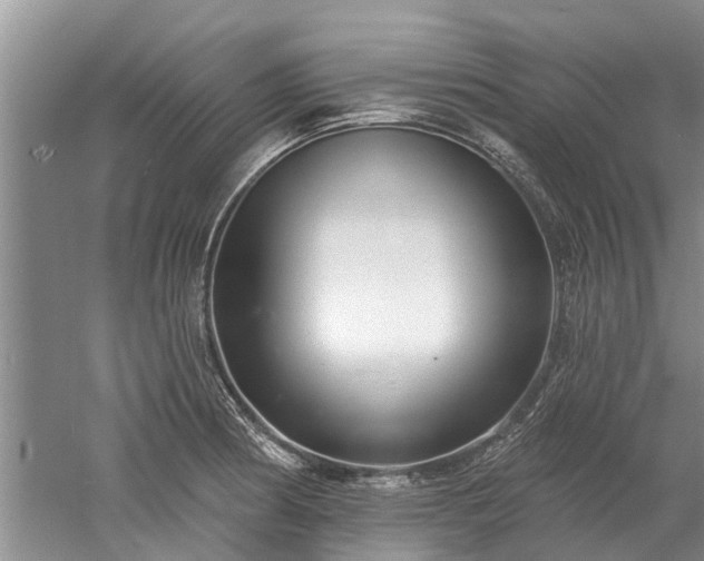 X0000052981186200507151820