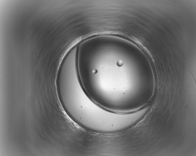 X0000052981189200507151820