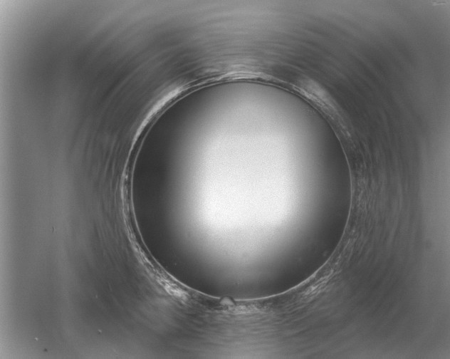 X0000052981190200507151820