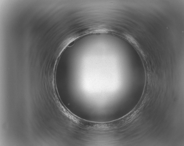 X0000052981194200507151820