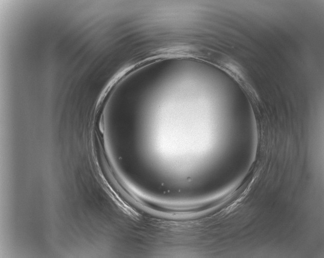 X0000052981196200507151820