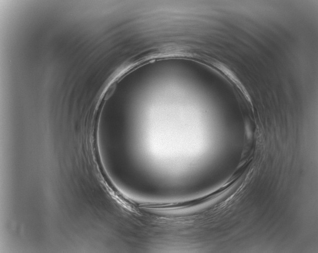 X0000052981197200507151820