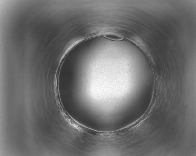 X0000052981198200507151820