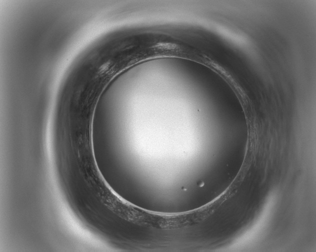 X0000052981199200507151820