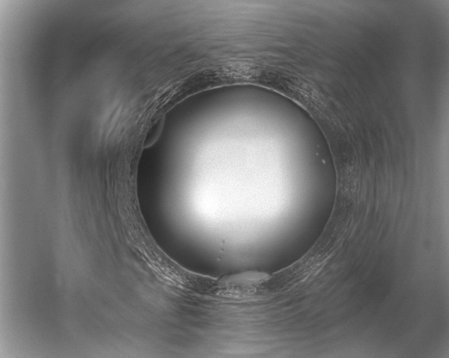 X0000052981201200507151819