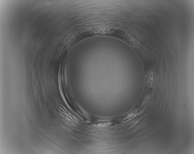 X0000052981202200507151819