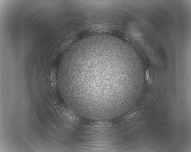 X0000052981203200507151819