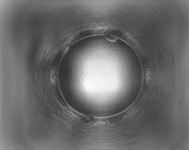 X0000052981204200507151819