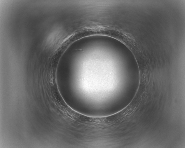 X0000052981205200507151819