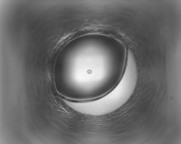 X0000052981206200507151819