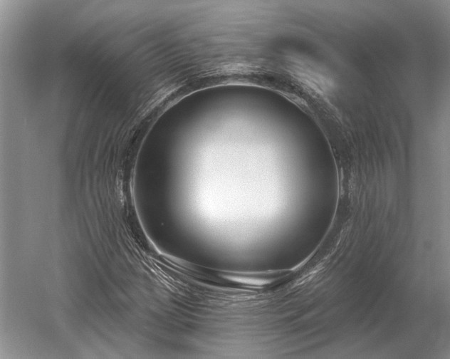 X0000052981209200507151819