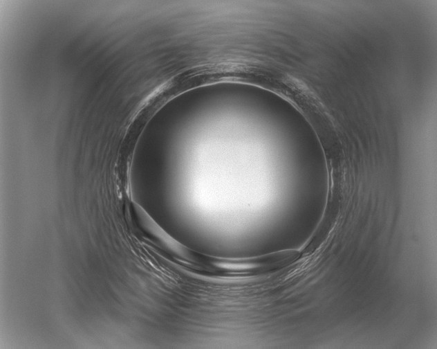 X0000052981210200507151819