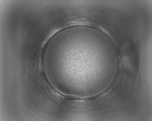 X0000052981215200507151819