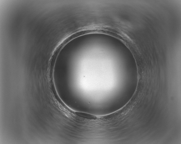 X0000052981216200507151819