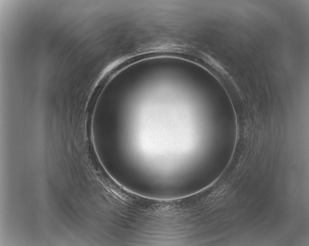 X0000052981222200507151819