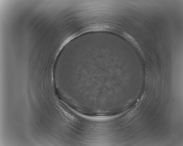 X0000052981226200507151819