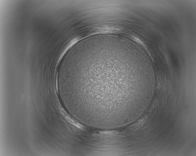 X0000052981227200507151819