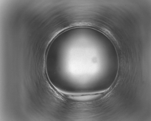 X0000052981228200507151819