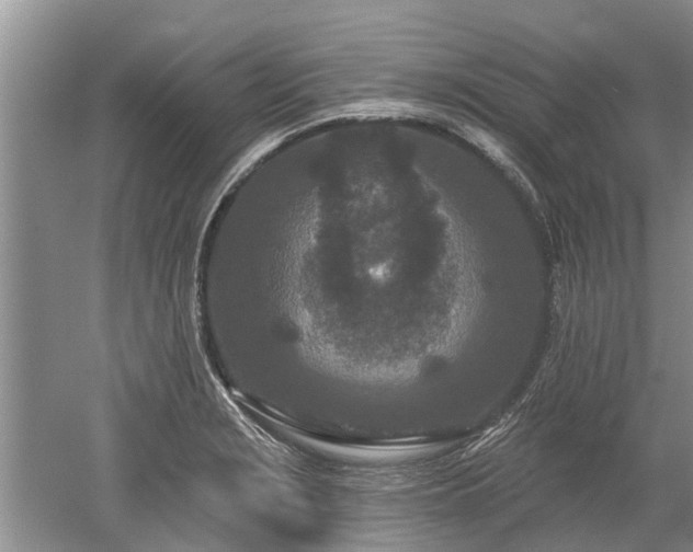 X0000052981229200507151819