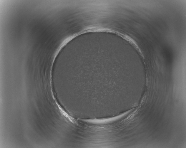 X0000052981231200507151819