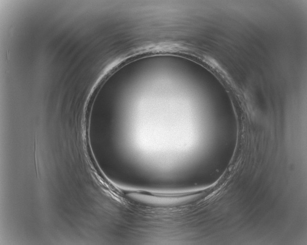 X0000052981232200507151819