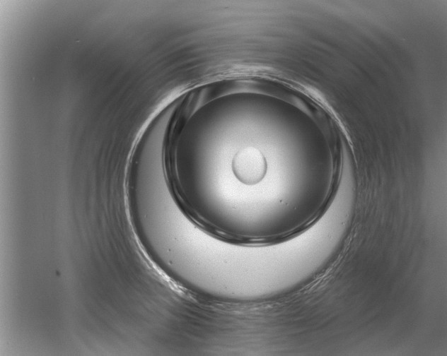 X0000052981235200507151819