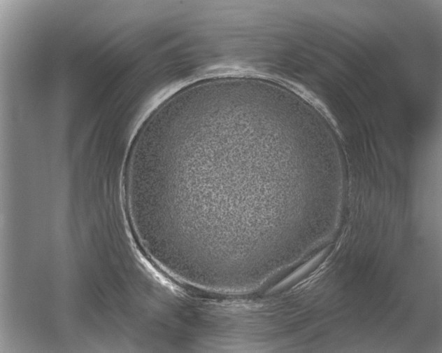 X0000052981239200507151820