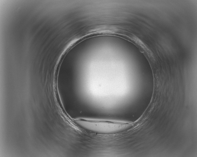 X0000052981240200507151820