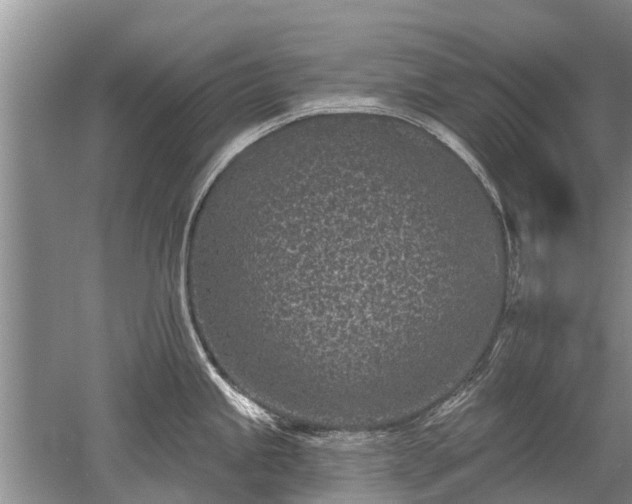 X0000052981245200507151820