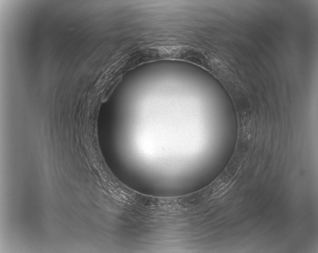 X0000052981249200507151819