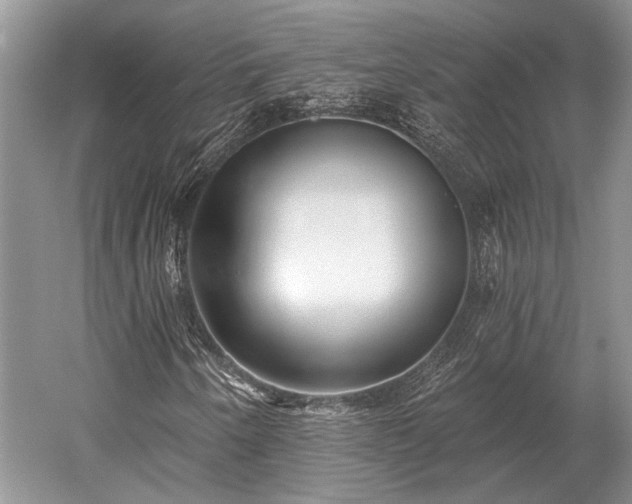 X0000052981250200507151819