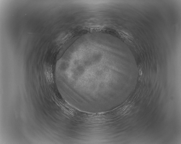 X0000052981252200507151819