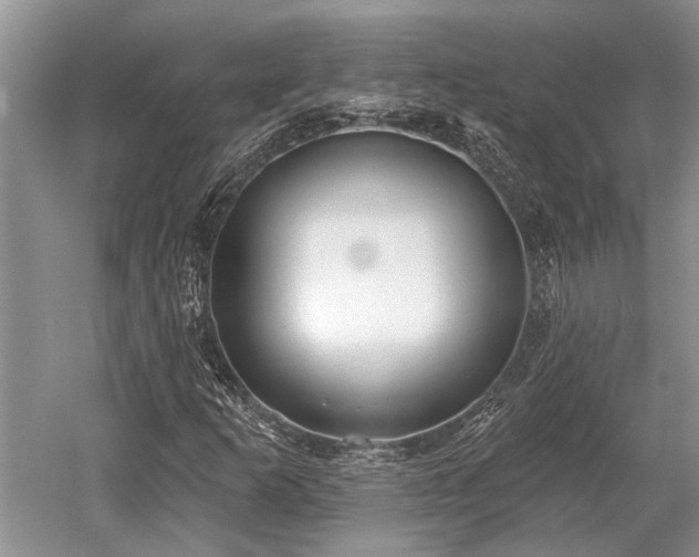 X0000052981253200507151819