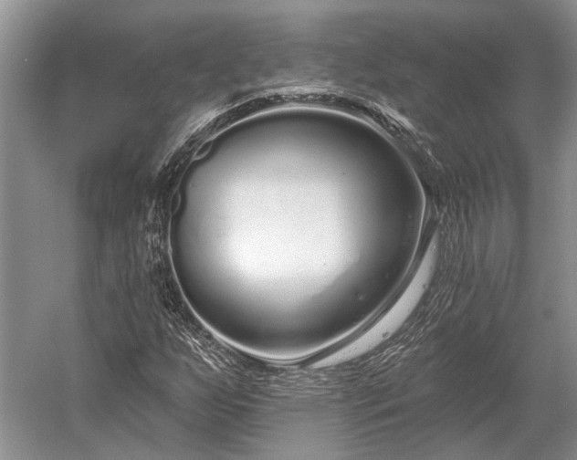 X0000052981255200507151819