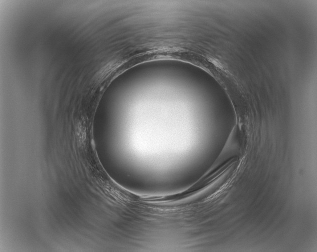 X0000052981257200507151819