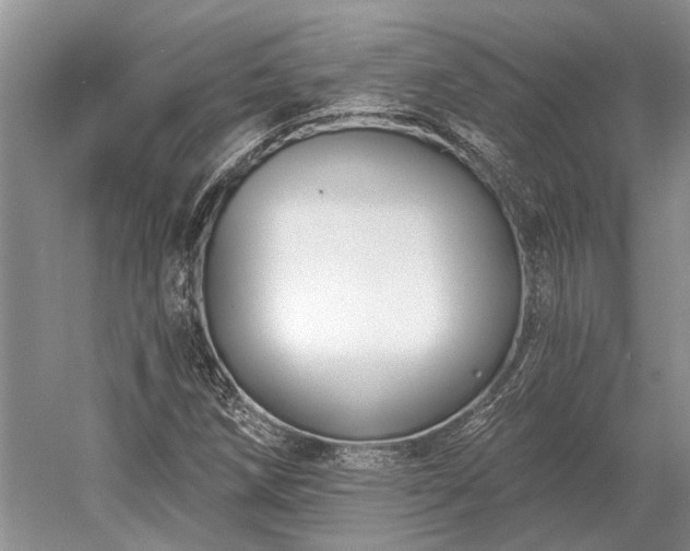 X0000052981258200507151819