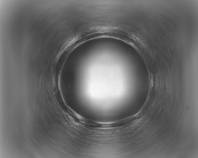 X0000052981261200507151819