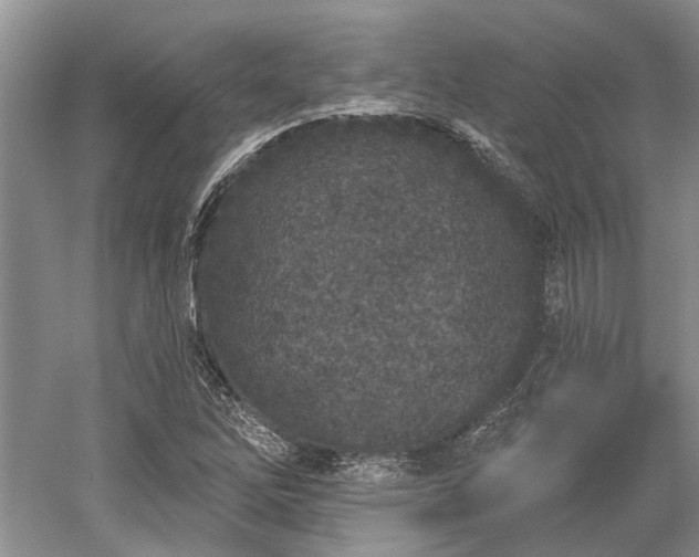 X0000052981262200507151819