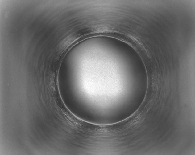 X0000052981265200507151819