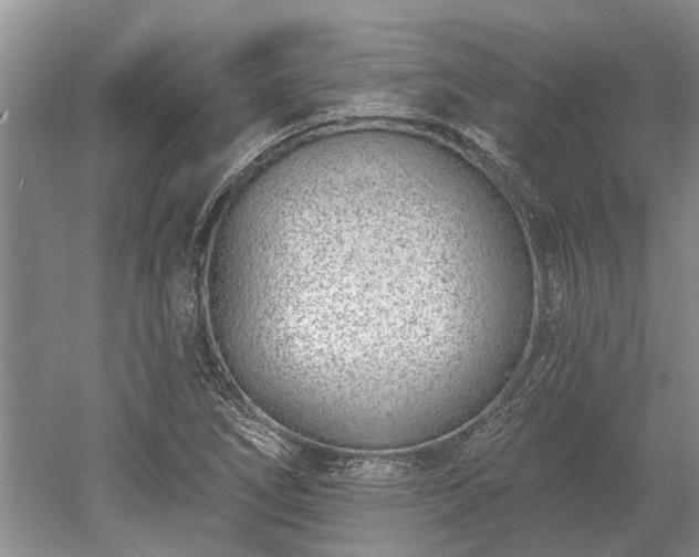 X0000052981266200507151819