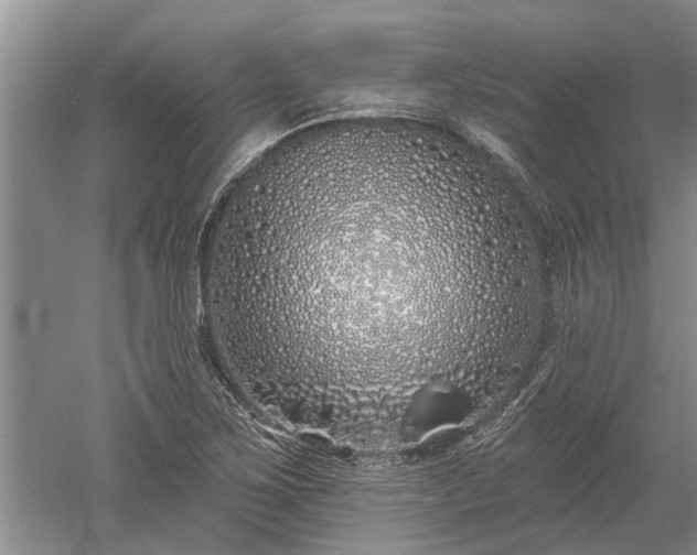 X0000052981267200507151819