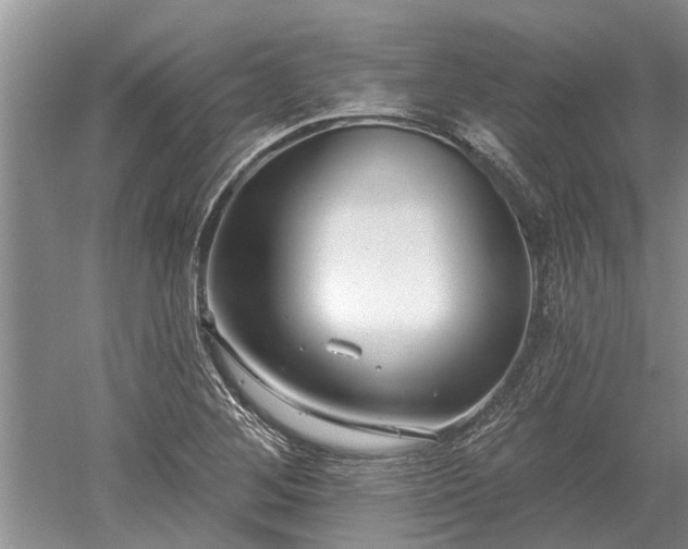 X0000052981268200507151819