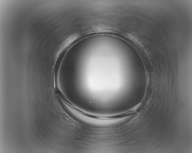 X0000052981269200507151819