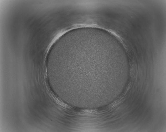 X0000052981271200507151818