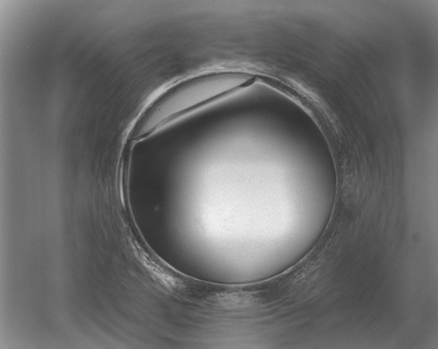 X0000052981272200507151818