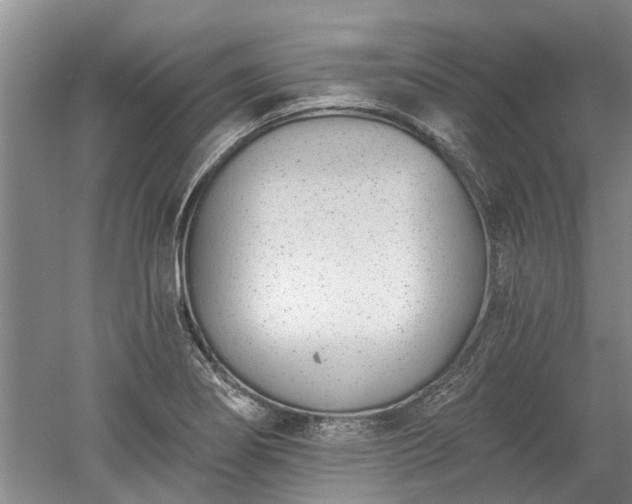 X0000052981274200507151818