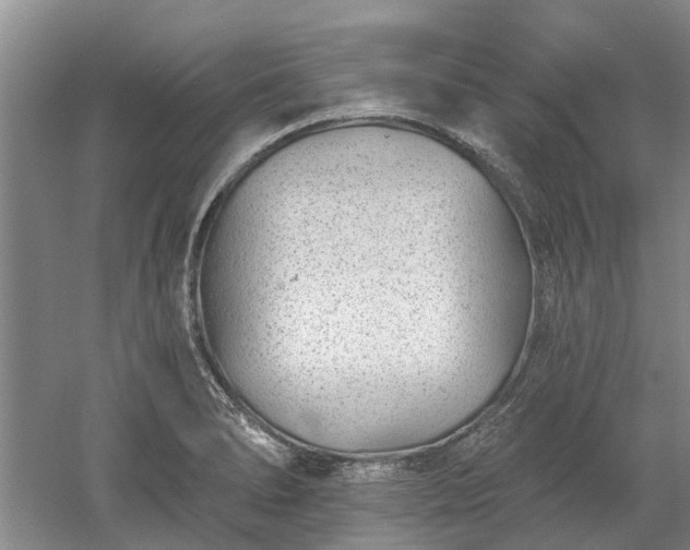 X0000052981278200507151818