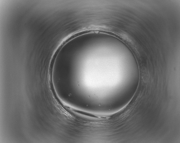 X0000052981280200507151818