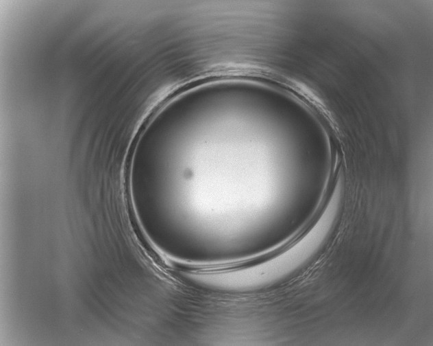 X0000052981283200507151818